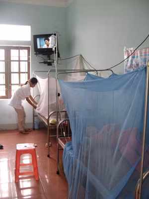 Mắc màn phòng chống SXH tại một bệnh viện. Ảnh: T.Hà. Mắc màn phòng chống SXH tại một bệnh viện. Ảnh: T.Hà