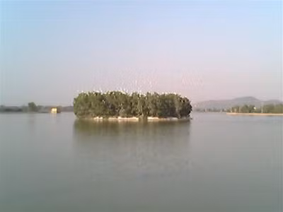 Đảo cò trường cao đẳng Nông Lâm