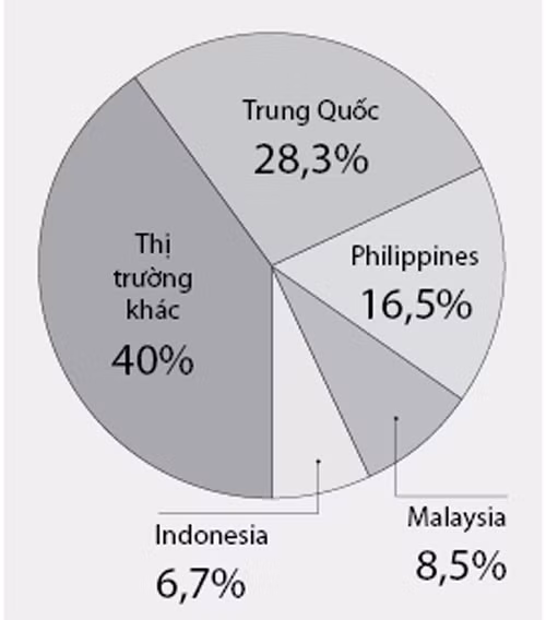 Các thị trường nhập khẩu gạo VN trong bảy tháng đầu năm 2012. Nguồn: Tổng cục Hải quan, VFA. Các thị trường nhập khẩu gạo VN trong bảy tháng đầu năm 2012. Nguồn: Tổng cục Hải quan, VFA