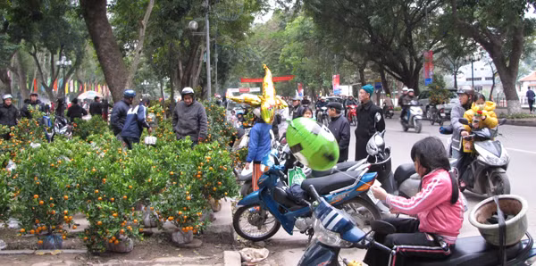 Giá quất giảm nhiều so với vài ngày trước đó. Đến chiều 29 Tết, giá quất chỉ còn trung bình từ 70 - 400 nghìn một gốc. 