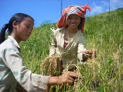 Các bé gái phải lao động sớm