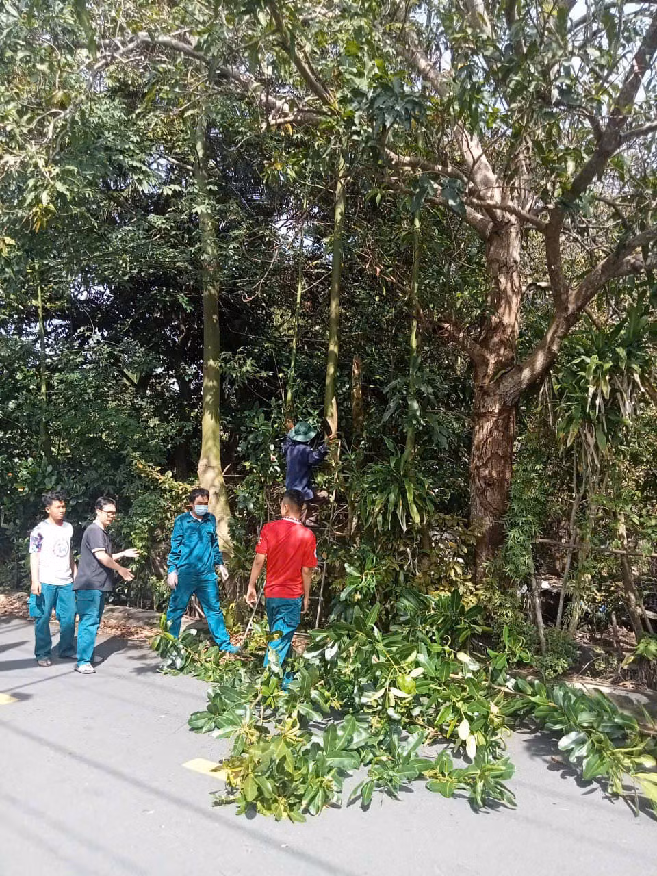 Ảnh: Đoàn Phường Trà An