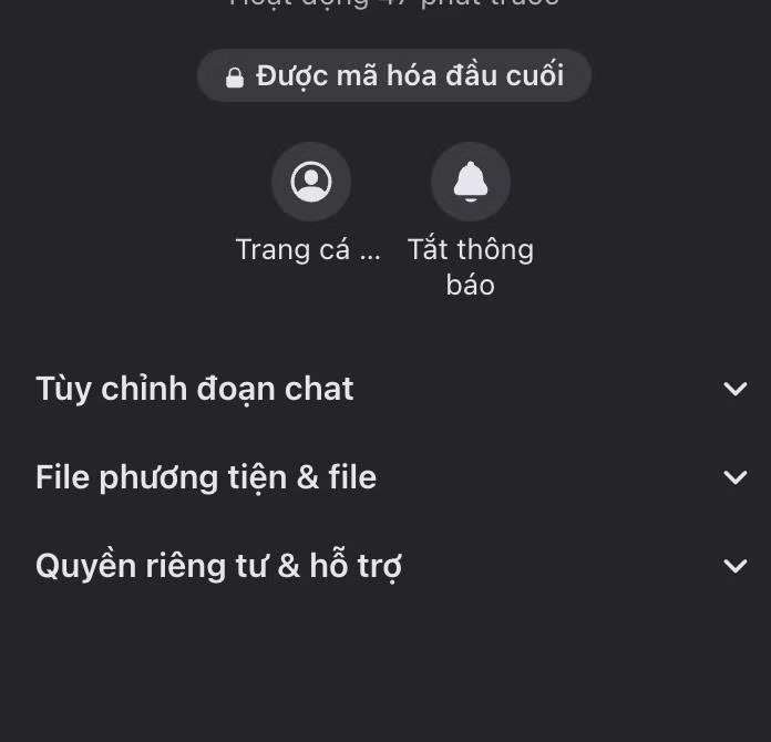 Công dụng của tính năng này là "bảo vệ tin nhắn", tức đoạn chat ở thiết bị nào sẽ hiển thị duy nhất trên đó. Để đồng bộ và xem ở thiết bị khác, người dùng cần nhập mã PIN.