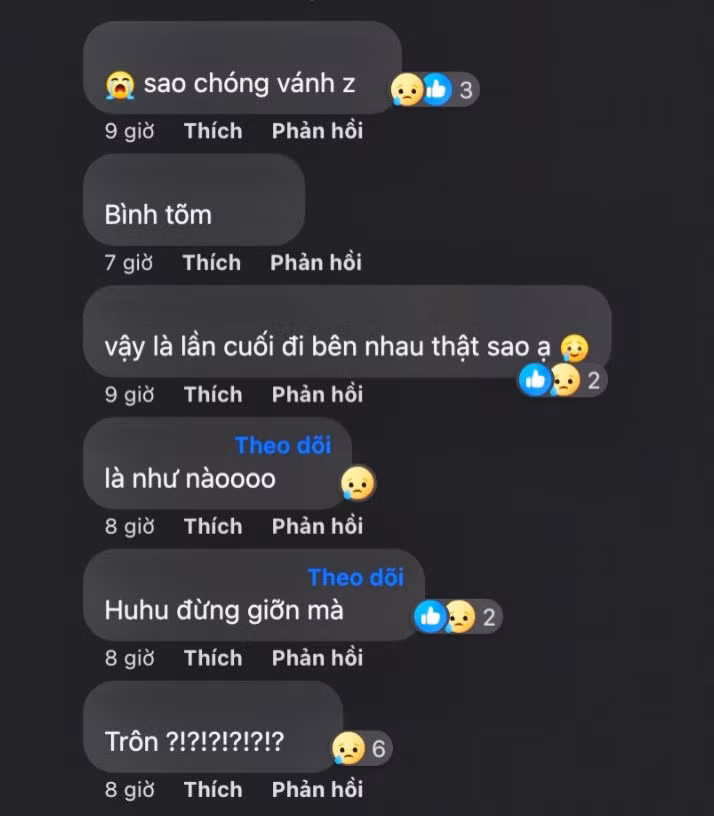 Khán giả tỏ ra tiếc nuối và không tin được việc Ngọt ngừng hoạt động.