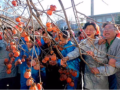 Người dân Triều Tiên khóc thương ông Kim Jong Il