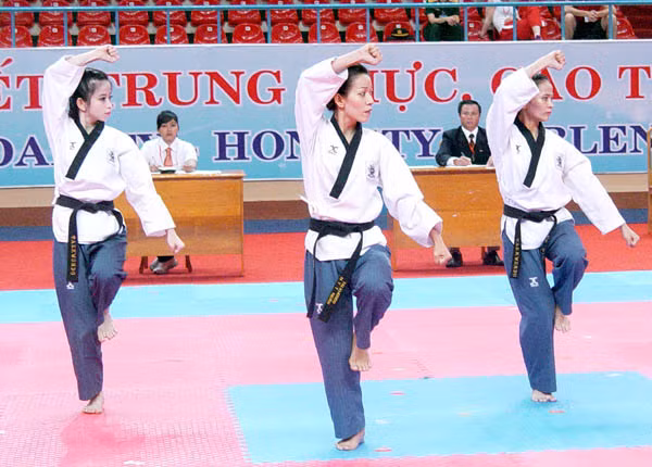 Các nữ võ sĩ đang về cho Taekwondo Việt Nam chiếc HCV đầu tiên ở giải VĐ thế giới 2013. Các nữ võ sĩ đang về cho Taekwondo Việt Nam chiếc HCV đầu tiên ở giải VĐ thế giới 2013