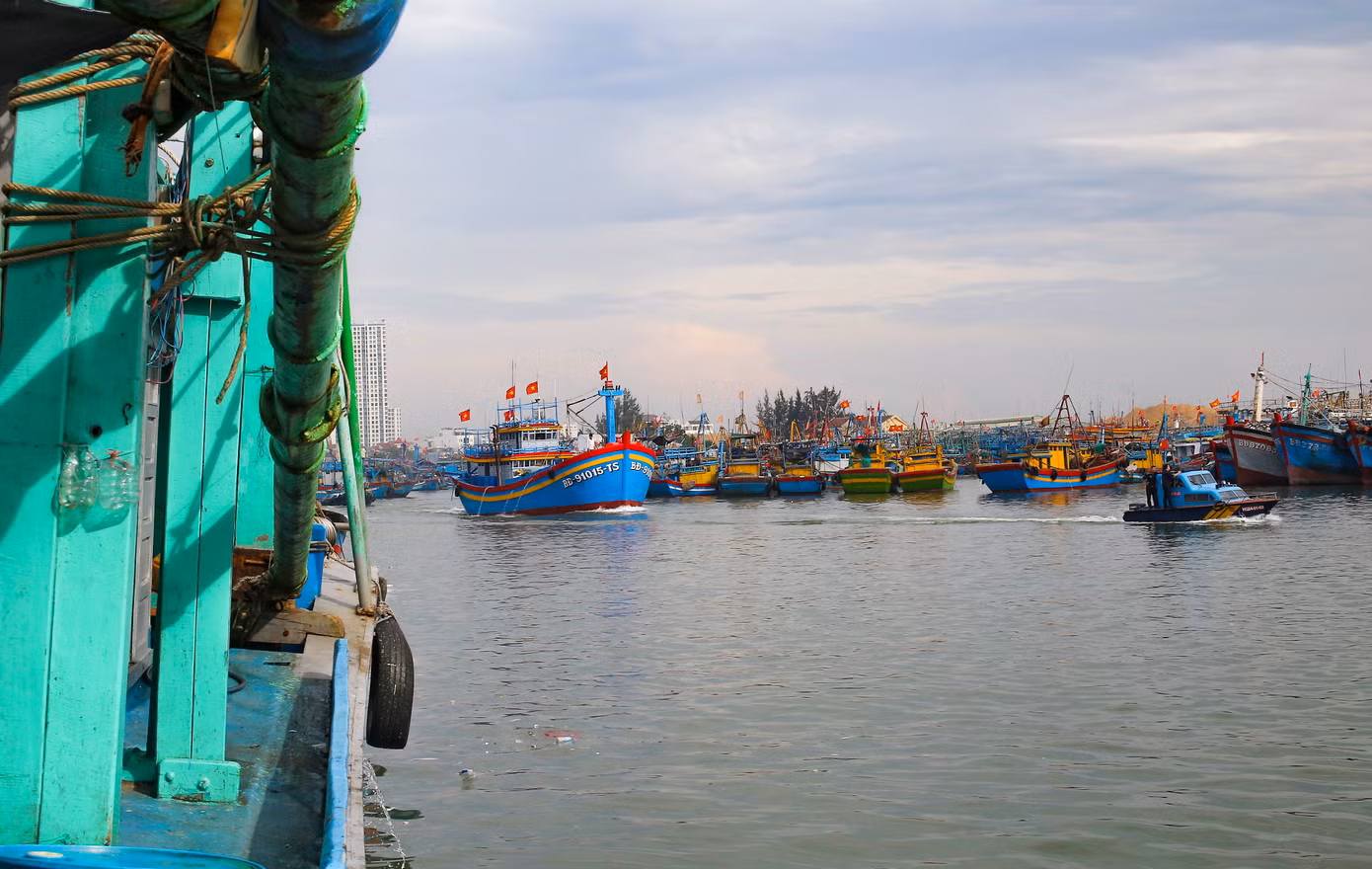 Tàu thuyền của ngư dân neo đậu tại Cảng cá Quy Nhơn. Ảnh: Trương Định.