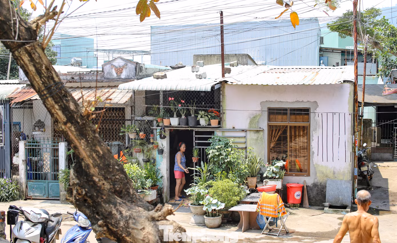 Căn nhà bà Võ Thị Thu Hà (63 tuổi, phường Quang Trung) trong diện phải di dời, dù trước đó cơ quan chức năng đã đến kiểm kê, áp giá nhưng đến nay vẫn chưa nhận được tiền đền bù. Theo bà Hà cho biết, bà sinh sống tại đây đã hơn 20 năm. Hiện giờ căn nhà sập xệ, xuống cấp nhưng không dám sửa sang. Cũng mong dự án sớm được triển khai để người dân được ổn định. Ảnh: Trương Định