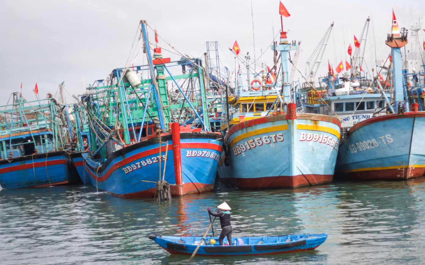 Bình Định là một trong những địa phương có truyền thống khai thác hải sản khá lâu đời với đội tàu đánh bắt thủy hải sản khá hùng hậu. Việc khai thác trong dịp Tết trở thành truyền thống của ngư dân vùng biển, đây vừa phát triển kinh tế cho gia đình, vừa góp phần bảo vệ chủ quyền biển đảo. Ảnh: Trương Định