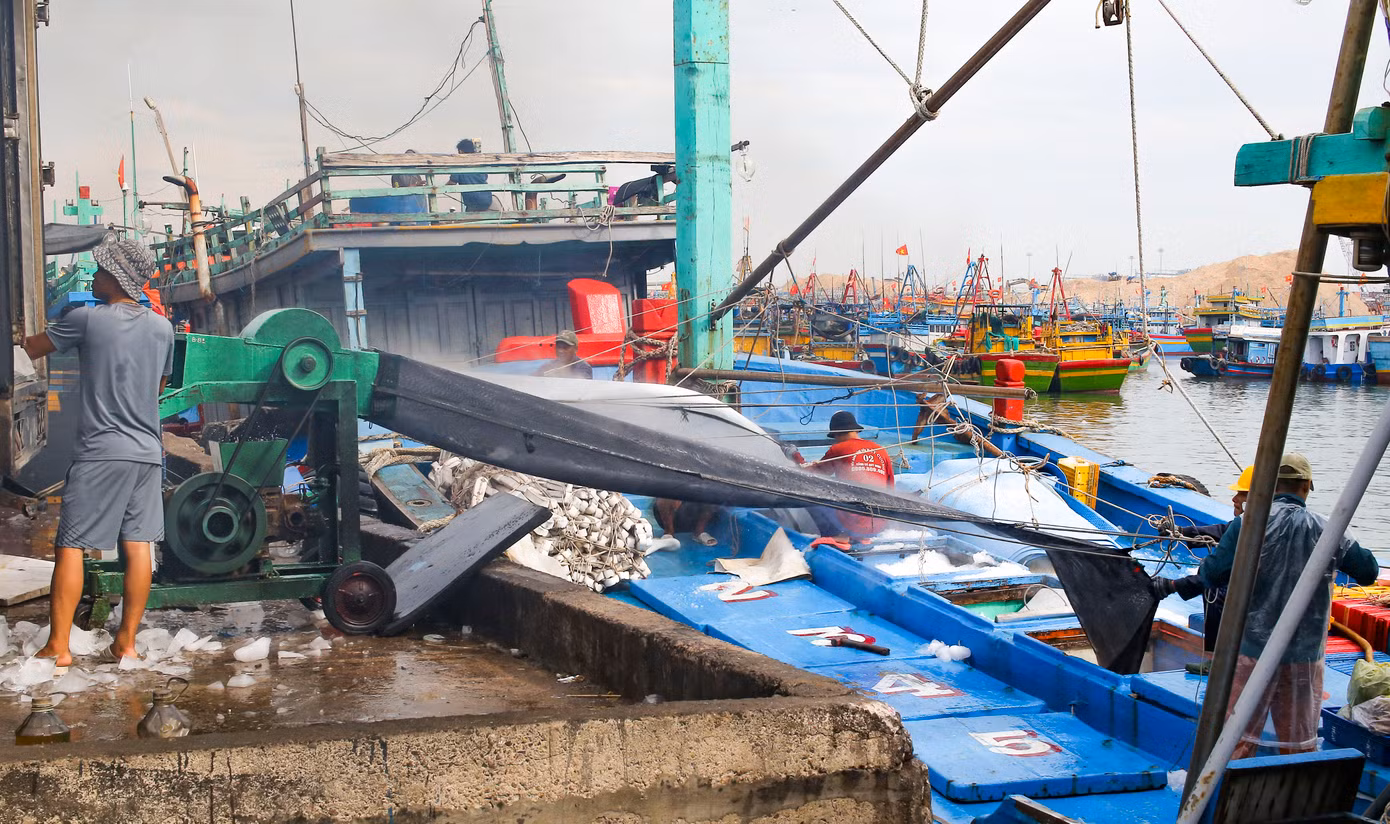 Ngư dân chuẩn bị đá lạnh, lương thực để vươn khơi đánh bắt chuyến biển mới. Ảnh: Trương Định