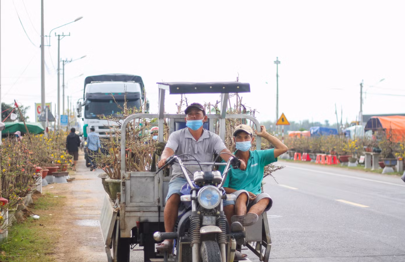 Vắng khách, các chủ vườn ở 'thủ phủ' mai vàng miền Trung rao cây trên mạng xã hội ảnh 10