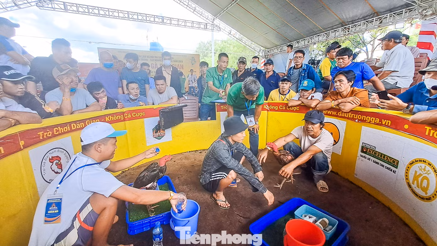 Làm thủ tục trước khi vào trận đấu. Ảnh: Trương Định). Làm thủ tục trước khi vào trận đấu. Ảnh: Trương Định).
