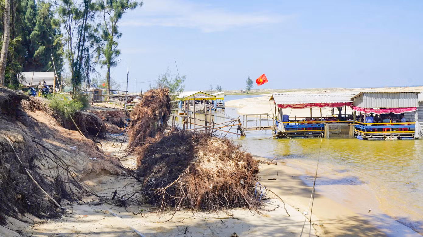 Khu vực bị xâm thực mạnh, nhiều gốc dương bị quật đổ, xói trơ gốc. Khu vực bị xâm thực mạnh, nhiều gốc dương bị quật đổ, xói trơ gốc.