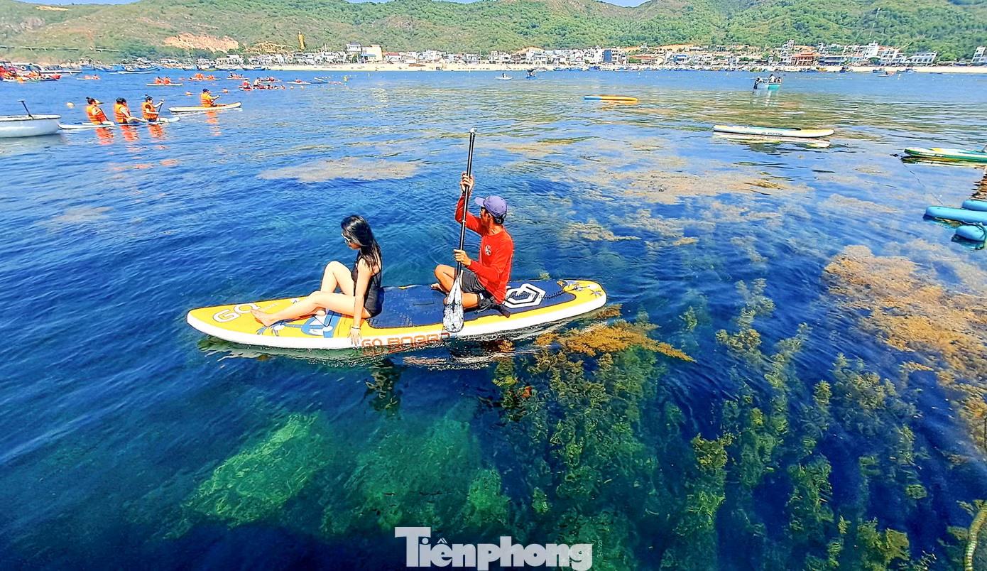 Du khách trải nghiệm chèo sup nhìn ngắm rong mơ. Ảnh: Trương Định.