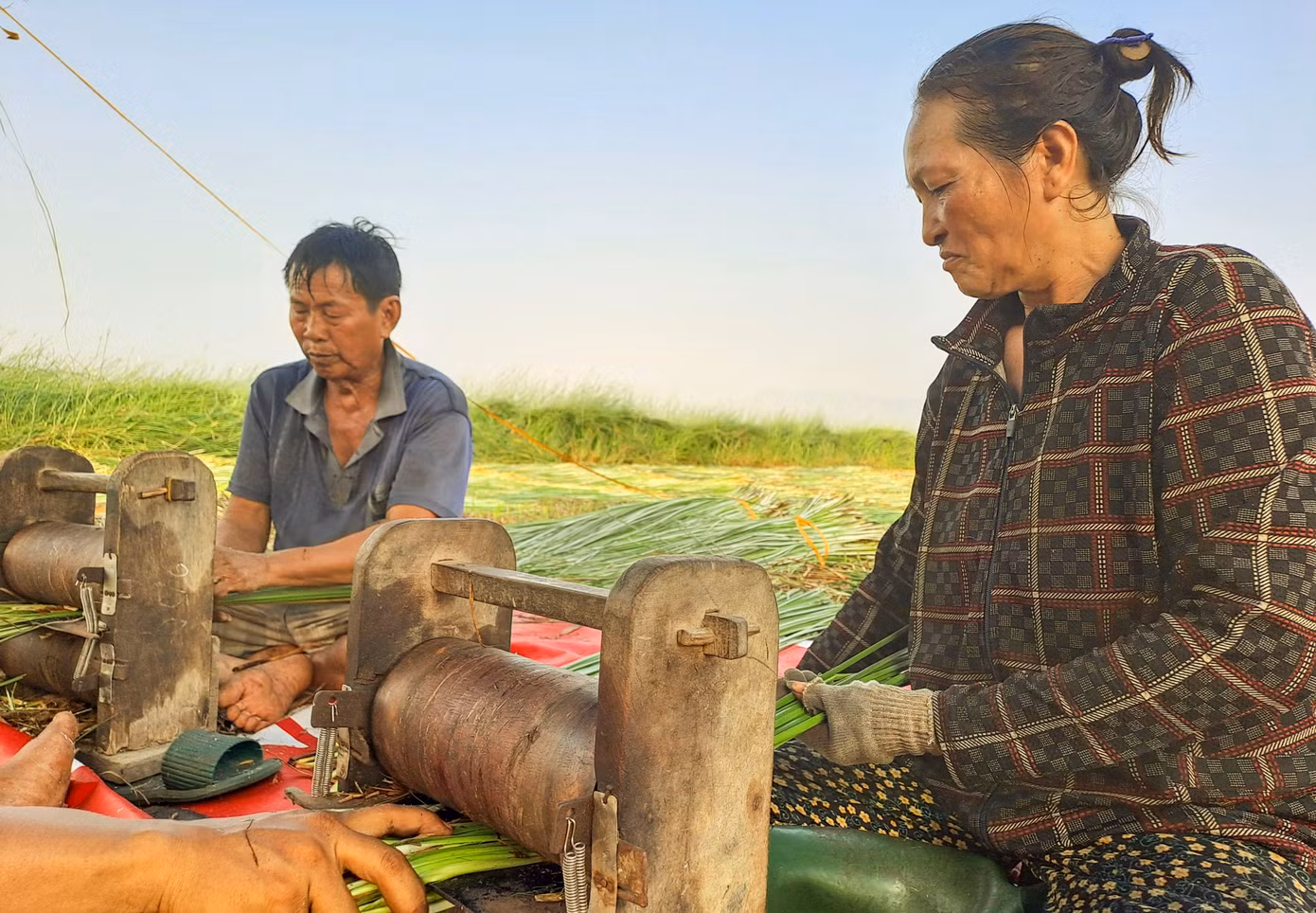 Chẻ cây cói thành những sợi nhỏ...