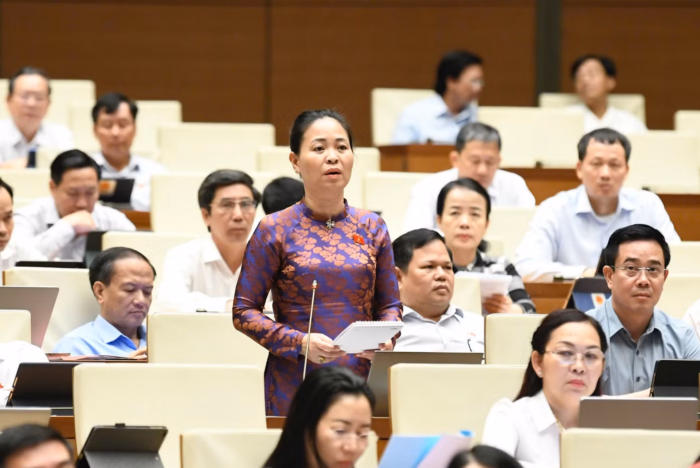 Đại biểu Nguyễn Thị Thu Dung (đoàn Thái Bình) Đại biểu Nguyễn Thị Thu Dung (đoàn Thái Bình)