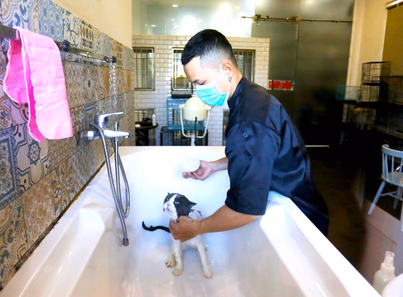 Các chú mèo có bồn tắm riêng tại spa của anh Nguyễn Lê Minh. Các chú mèo có bồn tắm riêng tại spa của anh Nguyễn Lê Minh.