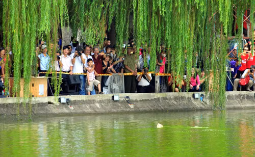 Hà Nội vào hội ngàn năm ảnh 20
