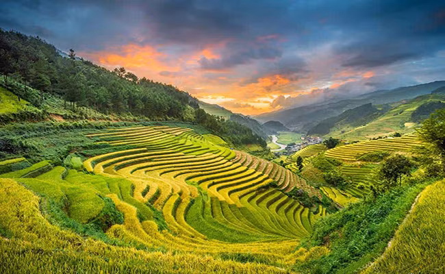 Ngây ngất với vẻ đẹp mùa lúa chín ở cao nguyên Sìn Hồ Ngây ngất với vẻ đẹp mùa lúa chín ở cao nguyên Sìn Hồ