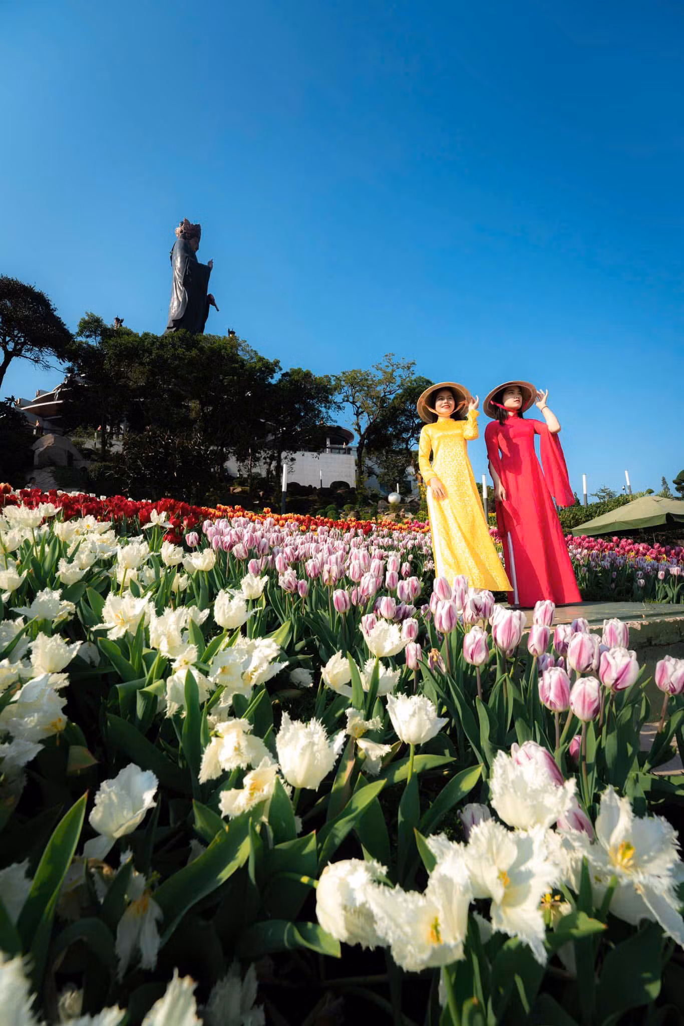Vườn hoa tulip khoe sắc là góc chụp ảnh được nhiều du khách yêu thích. (Ảnh: Minh Tú) Vườn hoa tulip khoe sắc là góc chụp ảnh được nhiều du khách yêu thích. (Ảnh: Minh Tú)