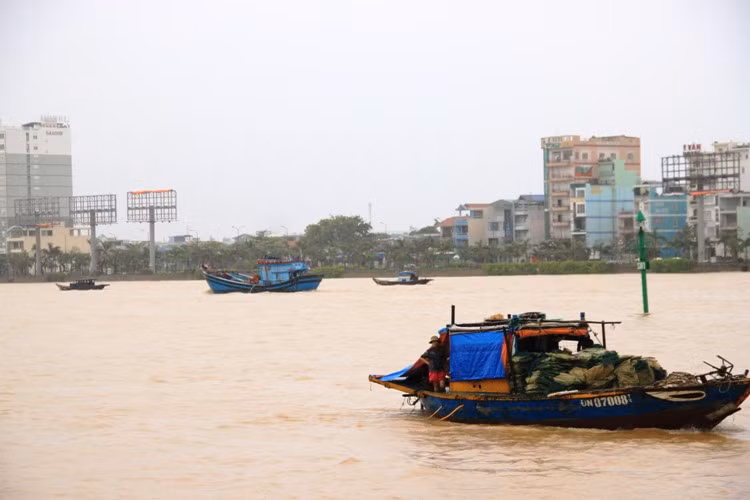 Các loại tàu hối hả di chuyển trên sông Hàn