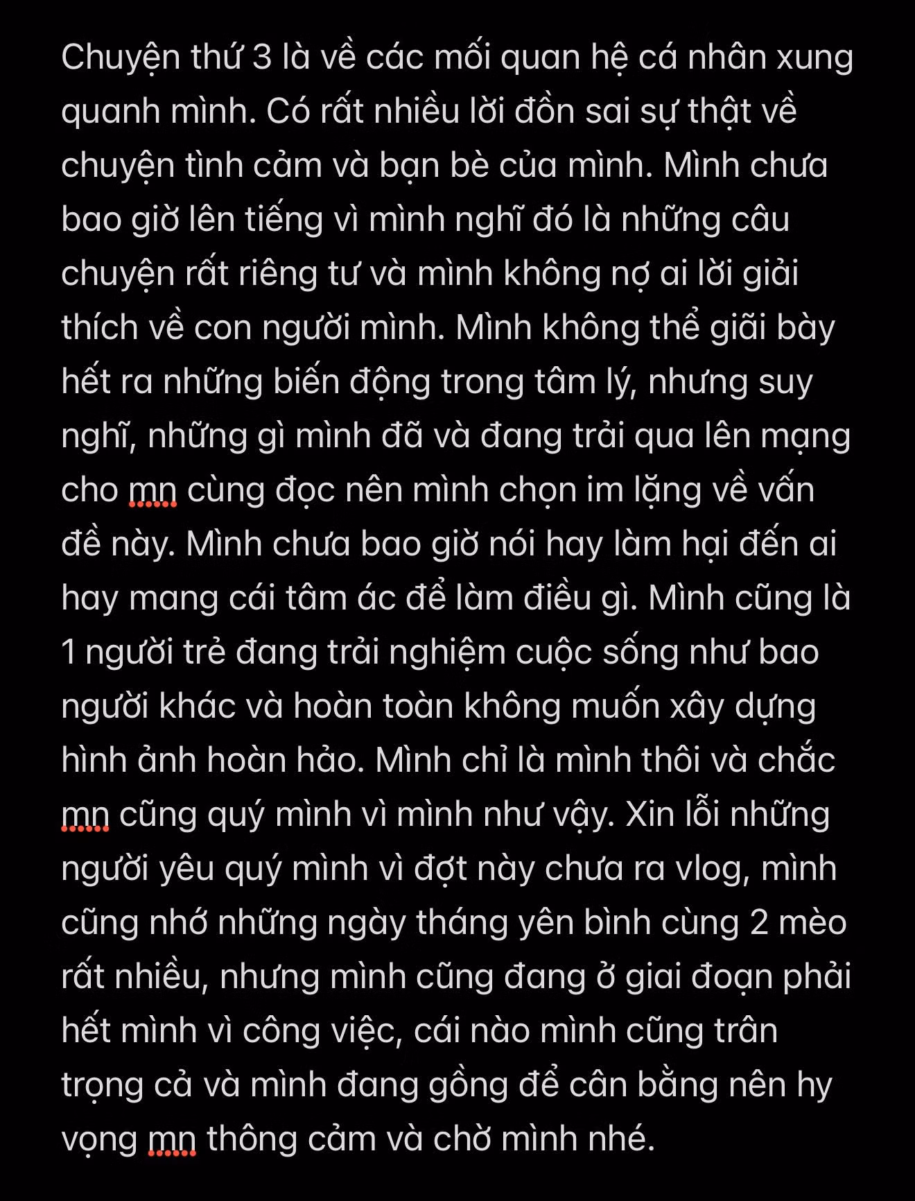 Nữ vlogger lên tiếng trên trang cá nhân của mình. Ảnh: thach_trangg