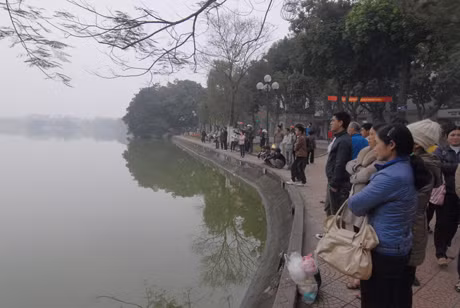 Hàng trăm người dân có mặt xem 'cụ' rùa vào sáng nay