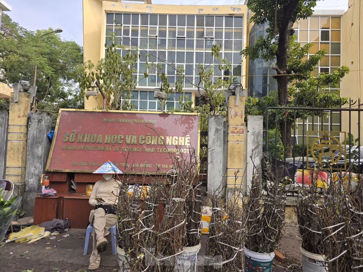 Một phần trụ sở của Sở Khoa học và Công nghệ Hà Nội, số 5 Nguyễn Trãi, quận Hà Đông hiện bỏ hoang sau khi cơ quan này chuyển đi.