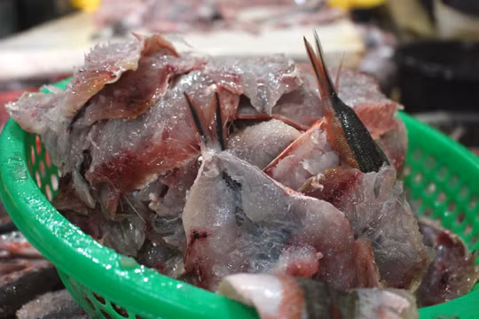 Thơm lừng Cá Đỏ củ mang hương vị Hoàng Sa ảnh 5