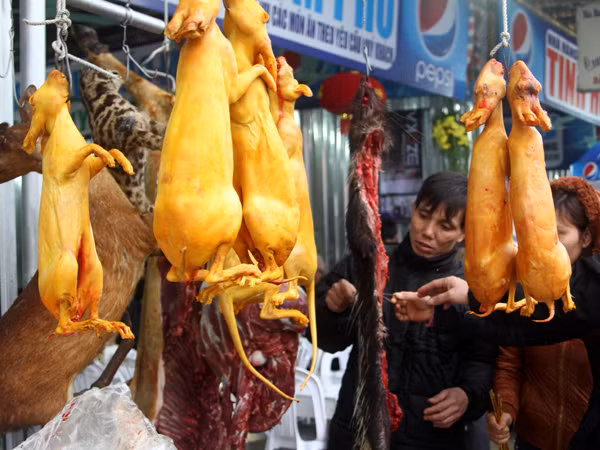 Thịt thú vẫn treo giăng giăng bên dọc đường hành hương bái Phật du xuân. Thịt thú vẫn treo giăng giăng bên dọc đường hành hương bái Phật du xuân