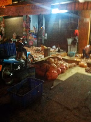 Tập kết heo, gà lậu trên quốc lộ 1A, khu vực Hố Nai, Biên Hòa để chuyển đi tiêu thụ Ảnh: L. Nguyễn