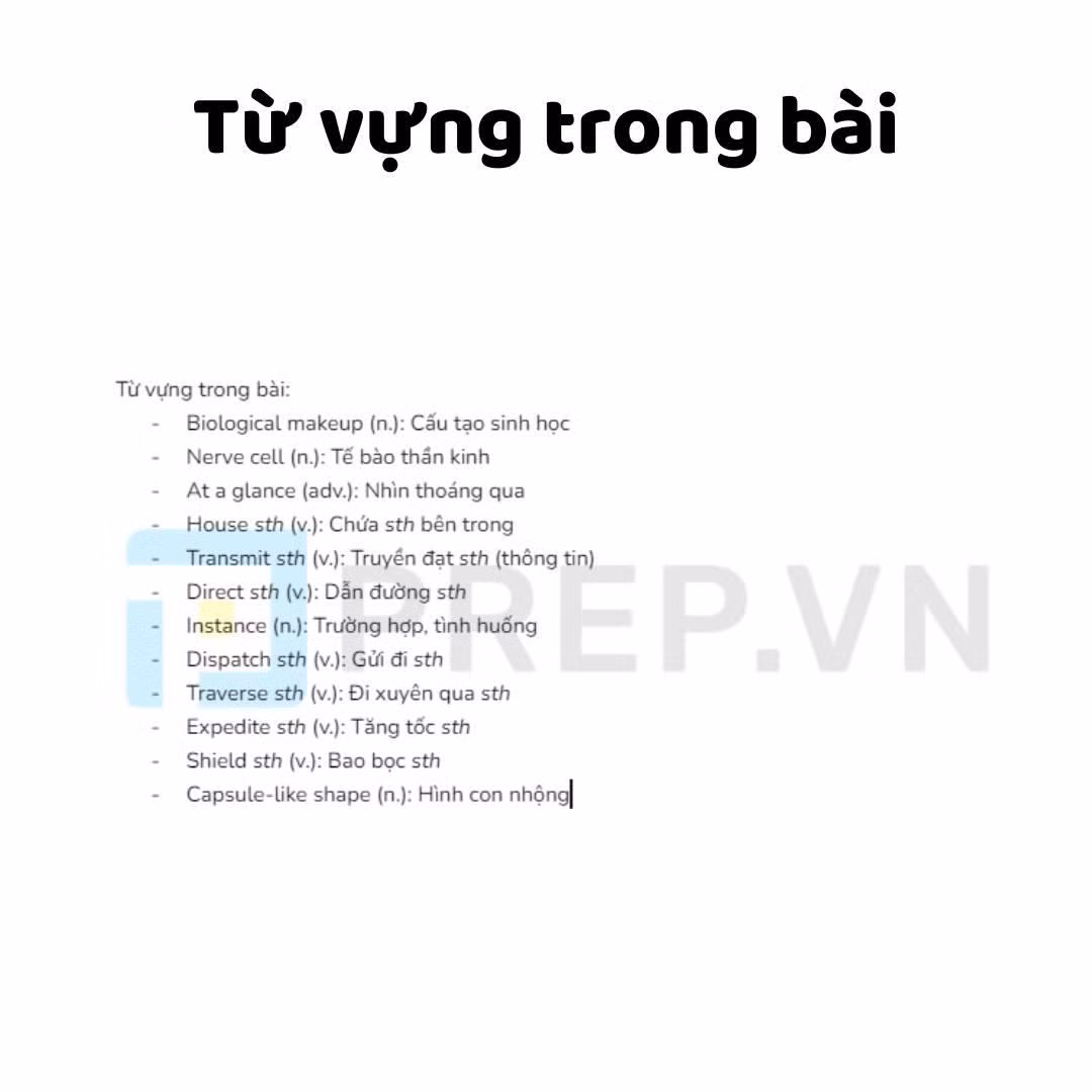 Cộng đồng mạng cũng đã nhanh chóng soạn ngay loạt từ vựng cần thiết cho chủ đề học thuật này. Ảnh: Group IELTS Việt