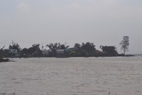 Vùng trũng Tuy Phước-Bình Định chơi vơi giữa biển lũ. Ảnh Việt Hương.