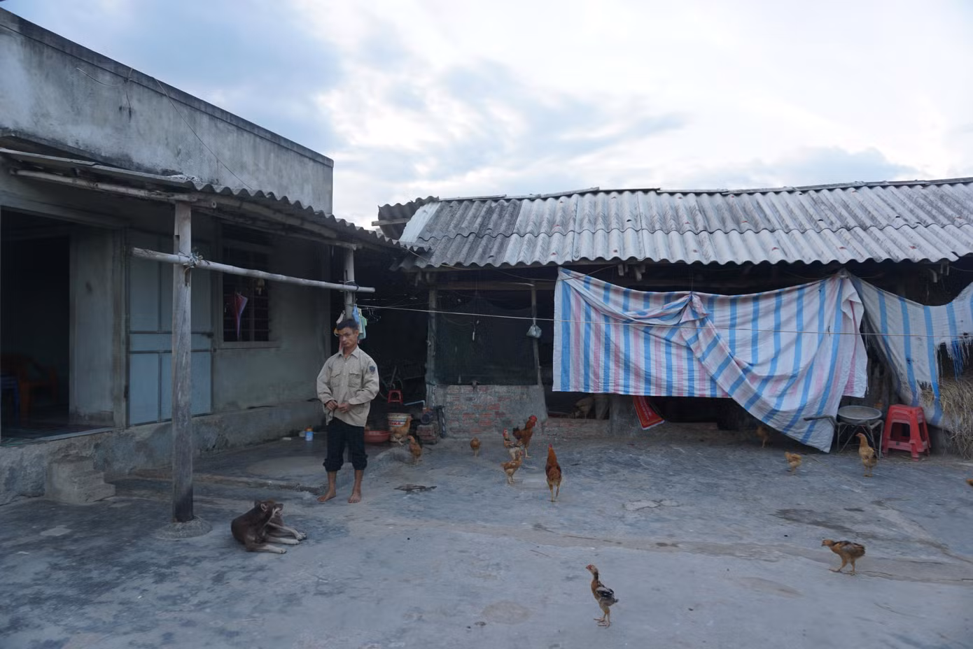 Ông bố tật nguyền nhặt ve chai rao bán nhà cho con học đại học ảnh 2