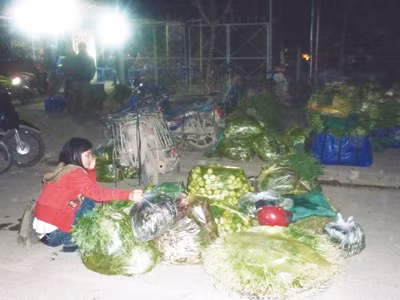 Nhiều tuần nay, chị Chu Ánh Tuyết (Nhổn, Cầu Diễn) dậy từ nửa đêm ra chợ đầu mối mua rau cho rẻ