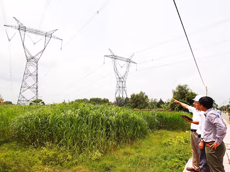 Đoạn đường dây 500kV bị cắt tại huyện Củ Chi (TPHCM). Ảnh: Nam Hà