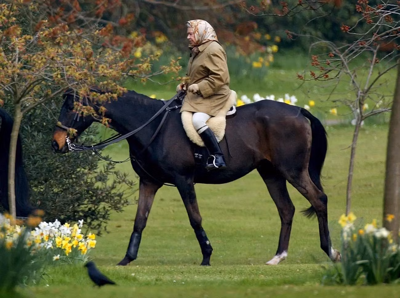 Ảnh chụp Nữ hoàng Elizabeth II cưỡi ngựa trong khuôn viên lâu đài Windsor năm 2002.