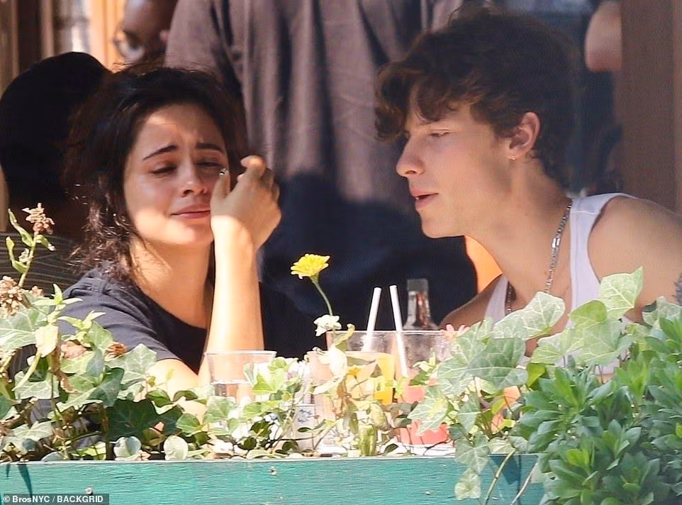 Quả thật ai cũng cần một "ghệ đẹp" như Shawn Mendes.