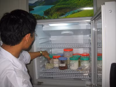 Tủ lạnh đựng các loại vitamin. Ảnh T.Hà