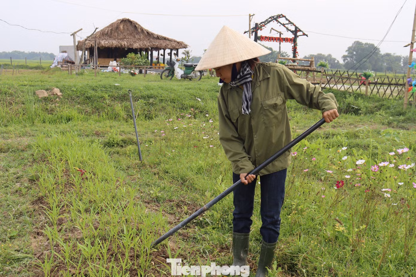 Là kỹ sư chuyên Ngành Bảo vệ thực vật tại Huế, chị Nguyễn Thị Hằng (SN 1993, TP Hà Tĩnh) đã quyết định rời xa thành phố đô hội trở về với quê hương Hà Tĩnh để theo đuổi ước mơ sống xanh, “chữa lành” những mảnh đất bỏ hoang. Là kỹ sư chuyên Ngành Bảo vệ thực vật tại Huế, chị Nguyễn Thị Hằng (SN 1993, TP Hà Tĩnh) đã quyết định rời xa thành phố đô hội trở về với quê hương Hà Tĩnh để theo đuổi ước mơ sống xanh, “chữa lành” những mảnh đất bỏ hoang.