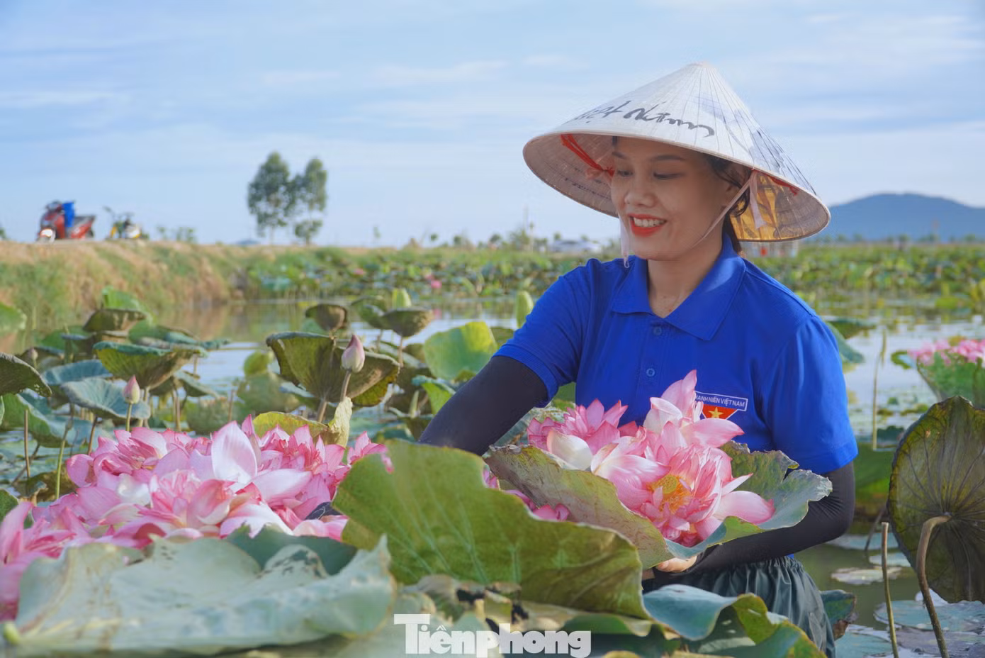 "Sen được trồng trên cánh đồng rộng hơn 2ha, đến nay phát triển tốt, cho hiệu quả kinh tế cao. Đến mùa, hoa nở đón khách đến tham quan và chụp ảnh, sau đó thu hái để bán nguyên liệu làm trà sen và rượu.... Năm nay sen được mùa, được giá nên chúng tôi rất phấn khởi", chị Nguyễn Thị Trang - Bí thư Đoàn xã Thạch Hưng (thành phố Hà Tĩnh) cho biết. "Sen được trồng trên cánh đồng rộng hơn 2ha, đến nay phát triển tốt, cho hiệu quả kinh tế cao. Đến mùa, hoa nở đón khách đến tham quan và chụp ảnh, sau đó thu hái để bán nguyên liệu làm trà sen và rượu.... Năm nay sen được mùa, được giá nên chúng tôi rất phấn khởi", chị Nguyễn Thị Trang - Bí thư Đoàn xã Thạch Hưng (thành phố Hà Tĩnh) cho biết.