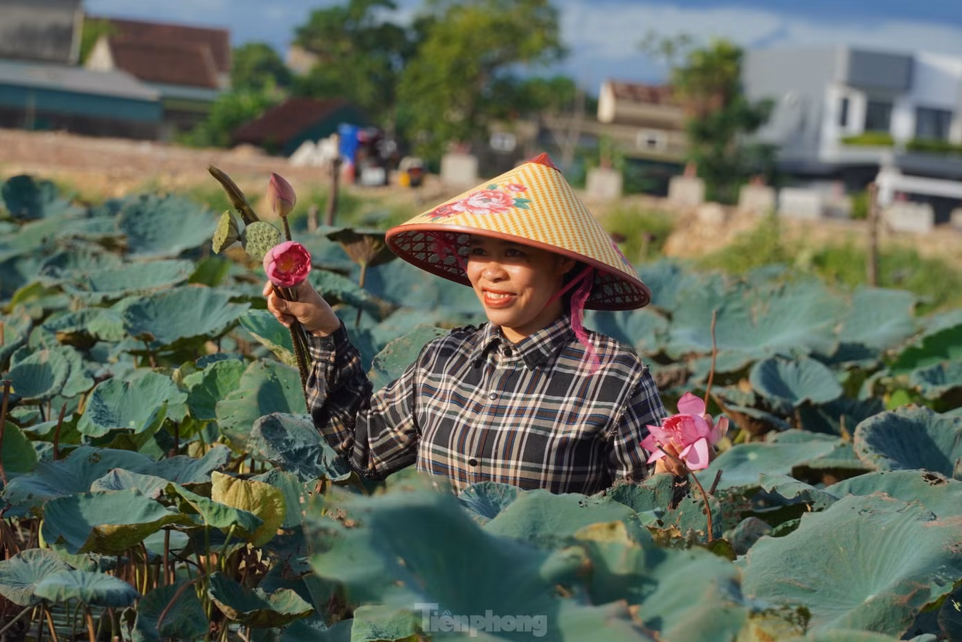 Người dân Hà Tĩnh vui mừng vì có thêm nguồn thu nhập lớn từ trồng sen. Người dân Hà Tĩnh vui mừng vì có thêm nguồn thu nhập lớn từ trồng sen.