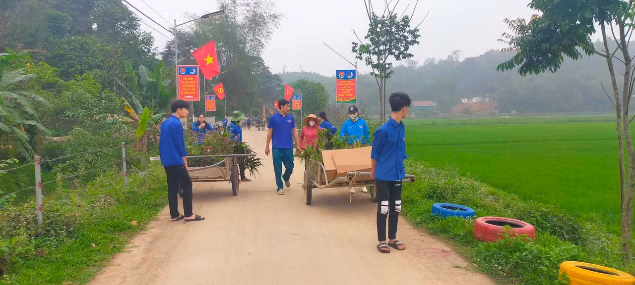 Công trình đường đèn năng lượng kết hợp đường hoa lốp hoa tái chế tại thôn Thượng Lĩnh do đoàn thanh niên tham gia hỗ trợ xây dựng.