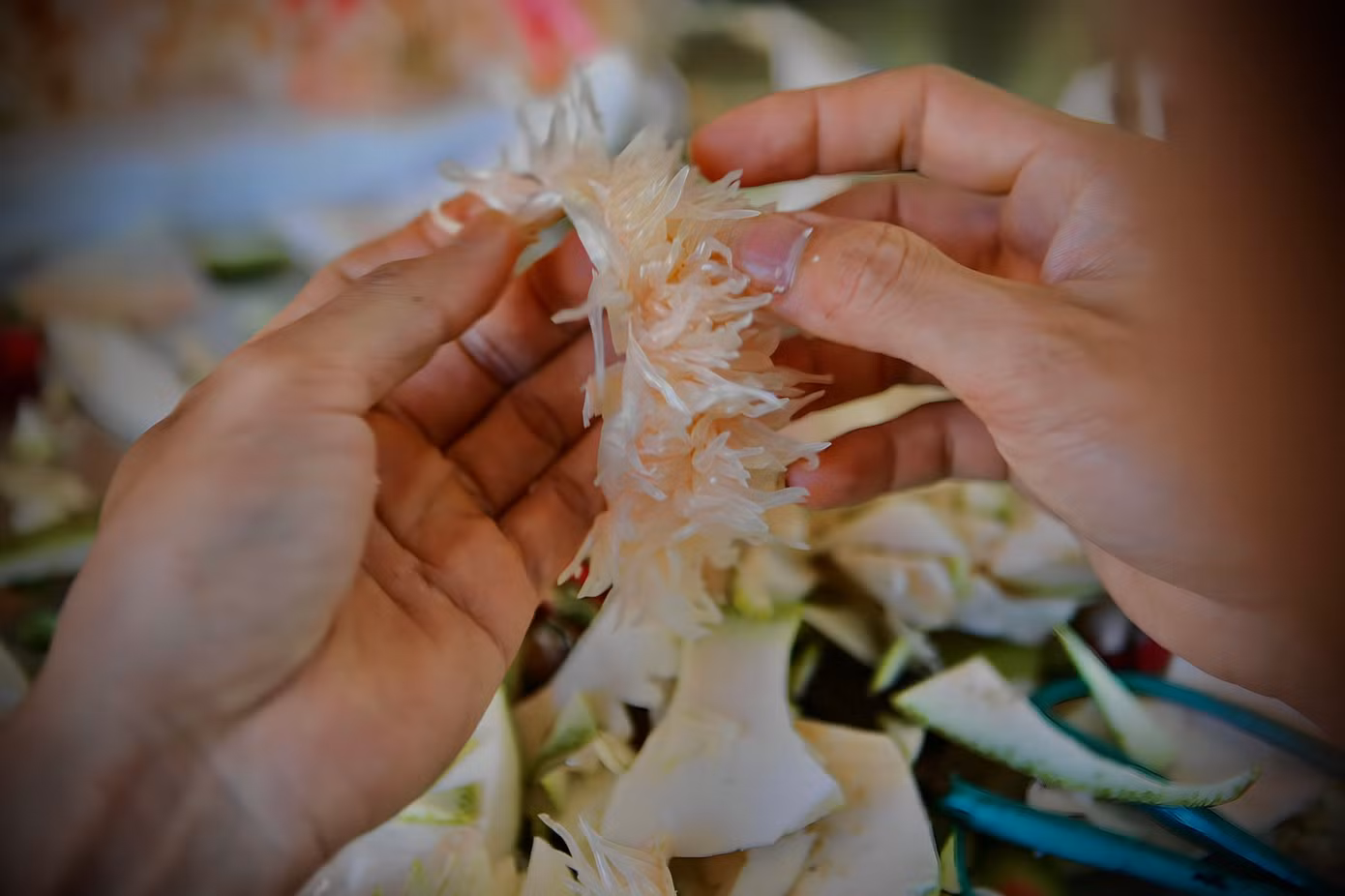 Chú chó ngộ nghĩnh được làm từ bưởi. Để hoàn thiện được một chú chó như thế này, anh Thiết phải mất gần 1 giờ đồng hồ. Khó và lâu nhất là công đoạn tách, bóc múi bưởi. Bưởi được chọn là loại bưởi chua, múi tép ít nước, khô. Chú chó ngộ nghĩnh được làm từ bưởi. Để hoàn thiện được một chú chó như thế này, anh Thiết phải mất gần 1 giờ đồng hồ. Khó và lâu nhất là công đoạn tách, bóc múi bưởi. Bưởi được chọn là loại bưởi chua, múi tép ít nước, khô.