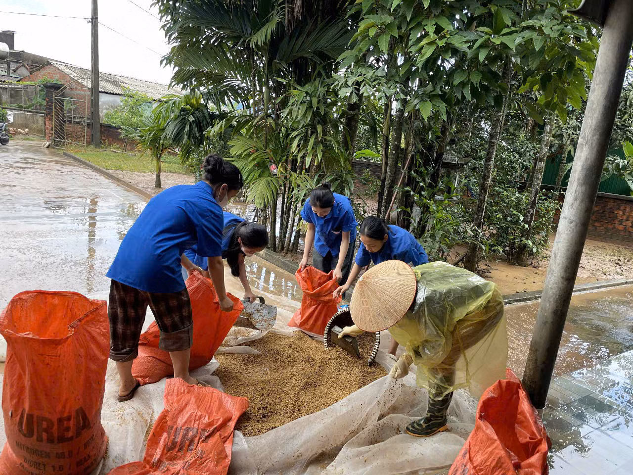 Ngoài hỗ trợ thu hoạch hoa màu, lực lượng thanh niên Hà Tĩnh còn tham gia hỗ trợ dọn nhà giúp người dân.
