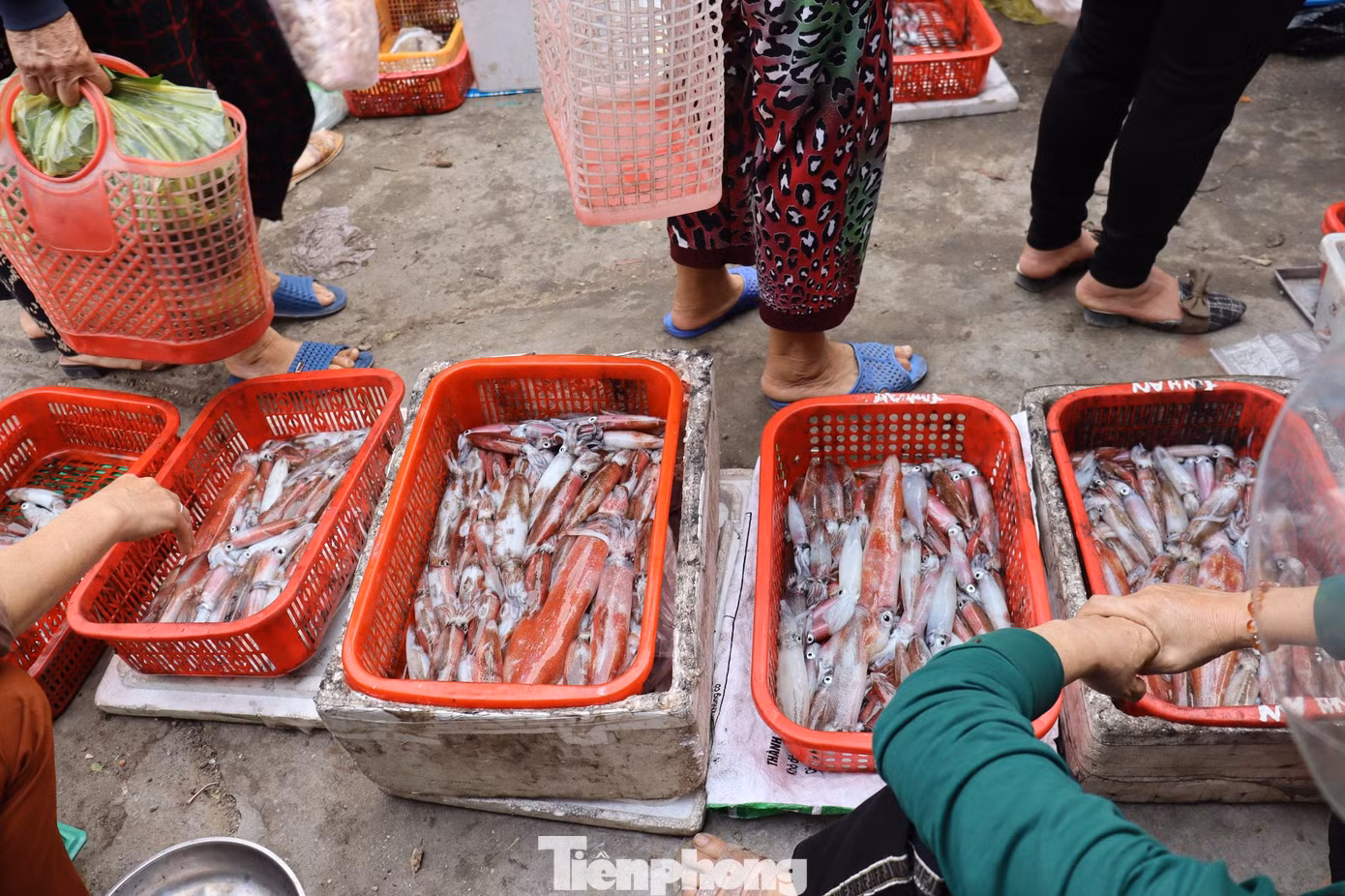 Tại chợ Đạo (Thạch Văn) là nơi tụ họp để bán mực, cá tươi sống, mực tươi xếp 2 hàng dài người dân chen chân nhau mua bán. Theo những người dân ở đây thì chỉ khoảng 30 phút là số mực của ngư dân đã được người dân hoặc thương lái mua gần hết.
