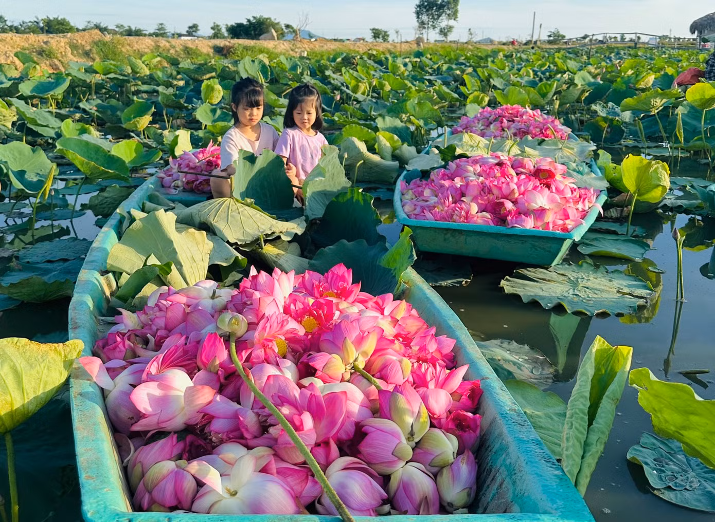Đây là thành quả của những người trẻ thành phố Hà Tĩnh thực hiện trong nhiều năm qua. Đây là thành quả của những người trẻ thành phố Hà Tĩnh thực hiện trong nhiều năm qua.