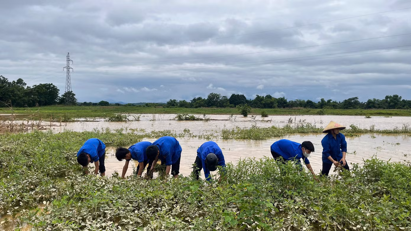 Sau những ngày mưa lớn gây ngập lụt tại huyện Hương Khê, nhiều diện tích hoa màu của bà con nông dân có nguy cơ bị hư hại. Trước tình hình đó, lực lượng đoàn viên, thanh niên trên địa bàn đã nhanh chóng ra quân hỗ trợ người dân thu hoạch hoa màu, chạy đua với thời gian để giảm thiểu thiệt hại.