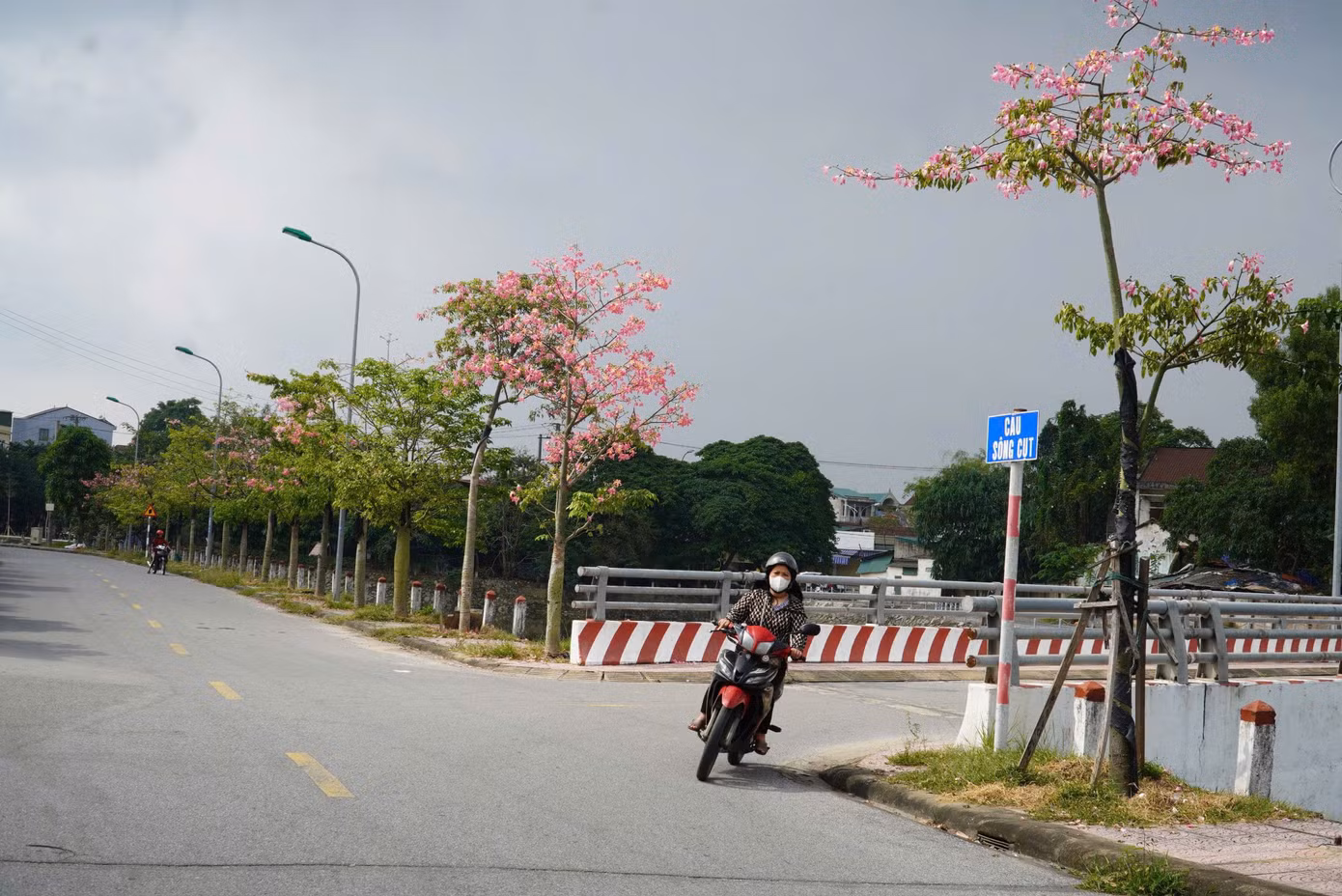 Các tuyến đường ở hào thành được xây dựng mở rộng, bên hào trồng những cây xanh, loài hoa nở rộ.