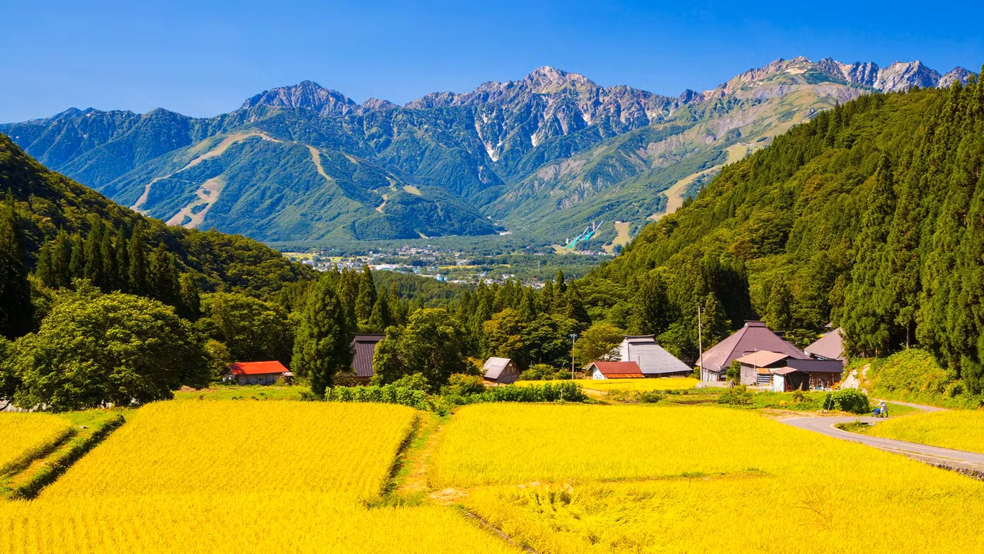 Mọi người đều được chào đón ở làng Hakuba